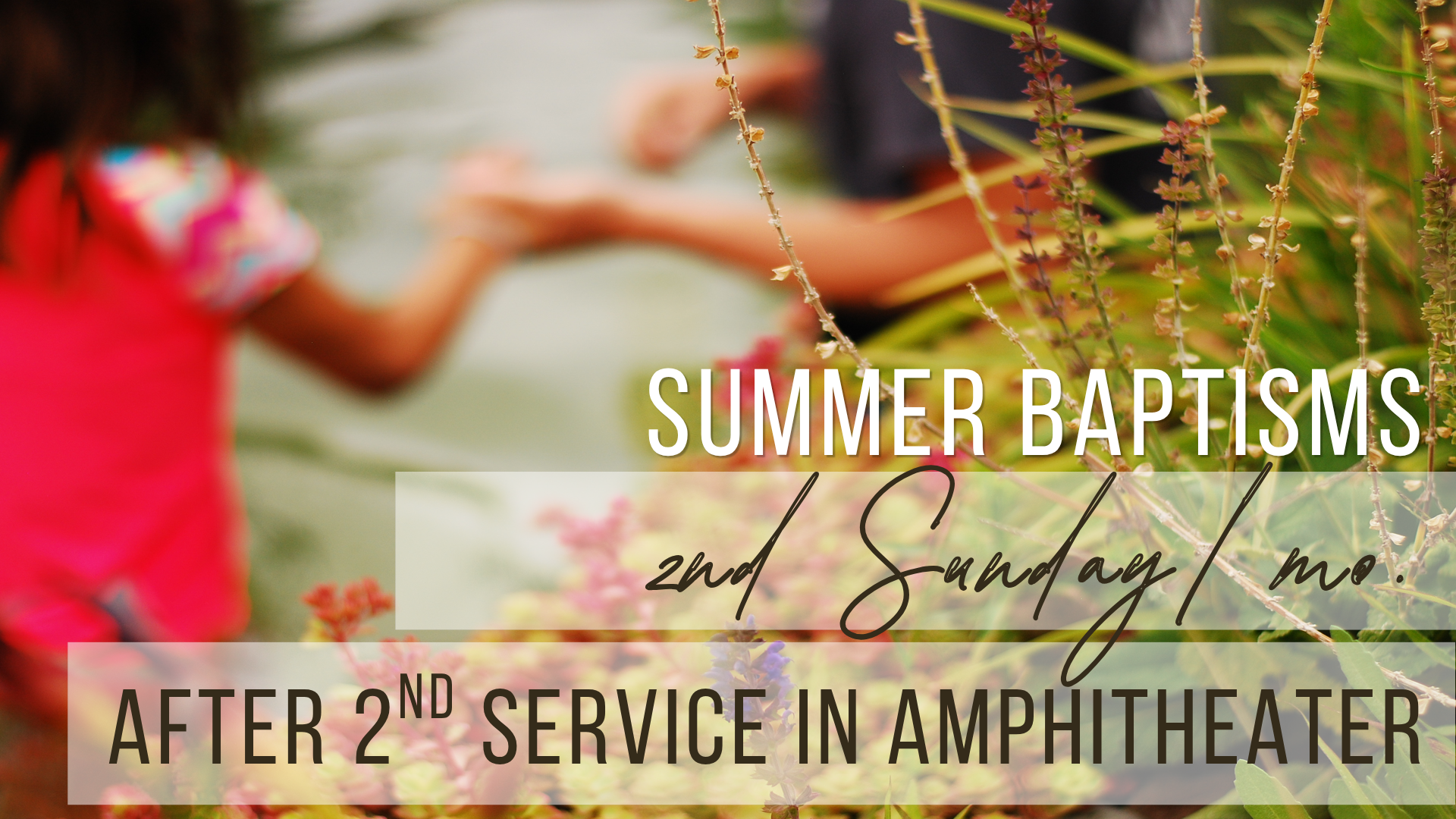 Join us this Sunday!