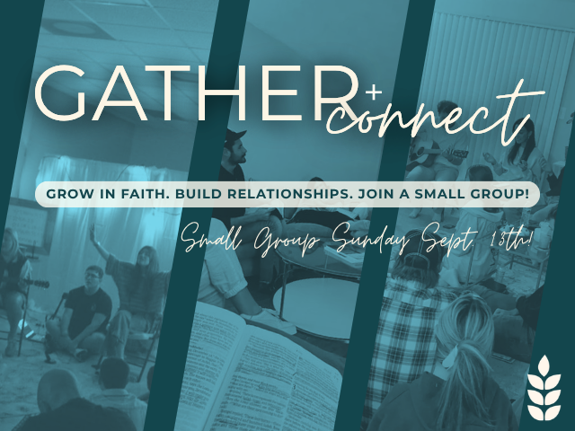Small Group Sunday 2026